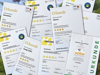 2_csm_Bild_Urkunden_446916f846